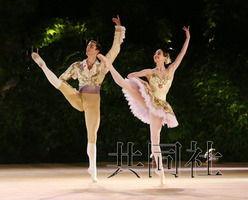 芭蕾女刺客,揭秘芭蕾女刺客的神秘世界