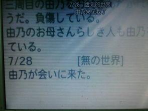 未来总统日记 第二季,权力巅峰的抉择与挑战