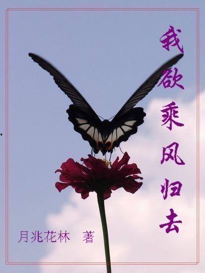 我欲乘风卿且去,我欲乘风卿且去的浪漫之旅