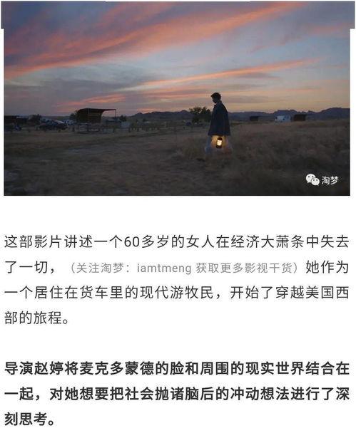 从不，很少，有时，总是,我的生活态度