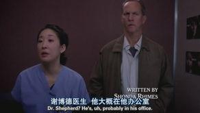 实习医生格蕾  第六季,挑战与成长交织的医疗战场